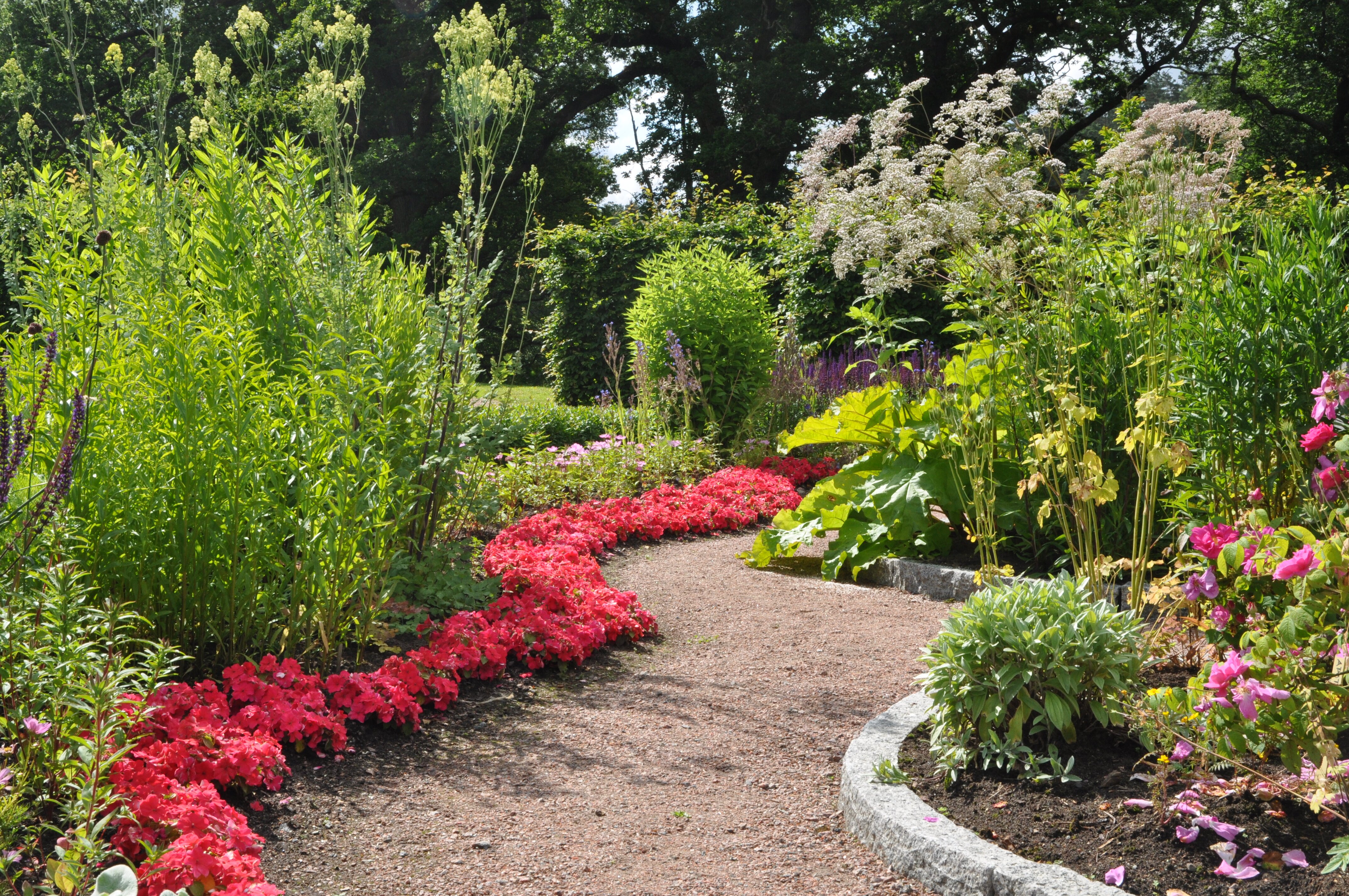 Peter svenson is passionate about the gardening profession ...