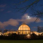 2009-11-24 Trdgrdsfreningen Gteborg